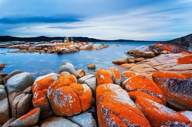 Bãi biển vịnh Vivonne