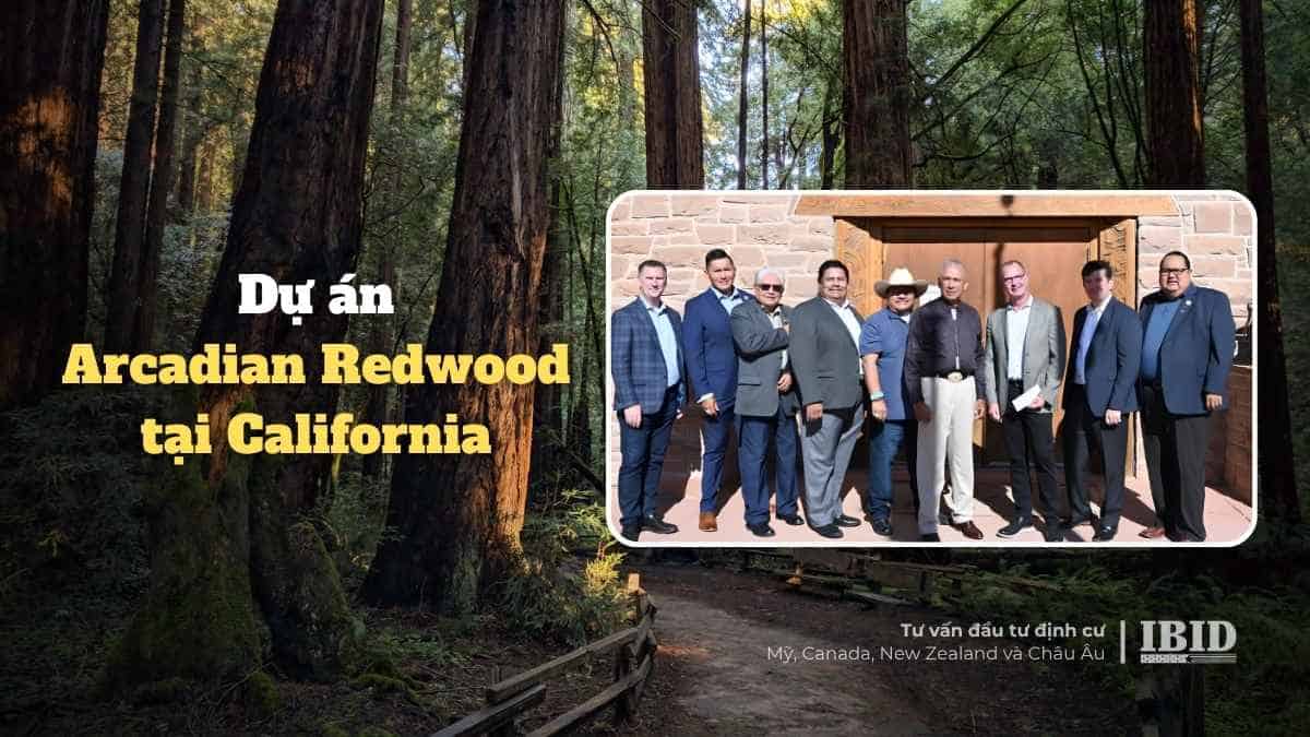 du-an-arcadian-redwood-california-chuan-eb5-rural-tea