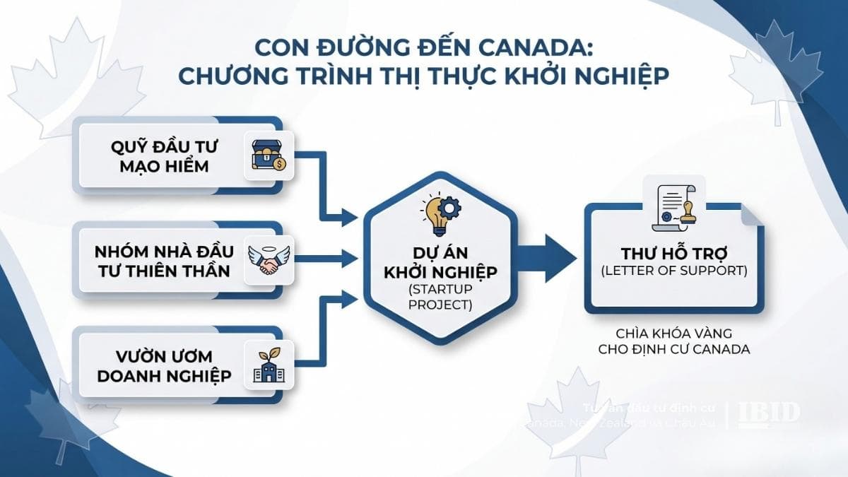 quy-trinh-nhan-thu-ho-tro-letter-of-support-chuong-trinh-start-up-visa-canada